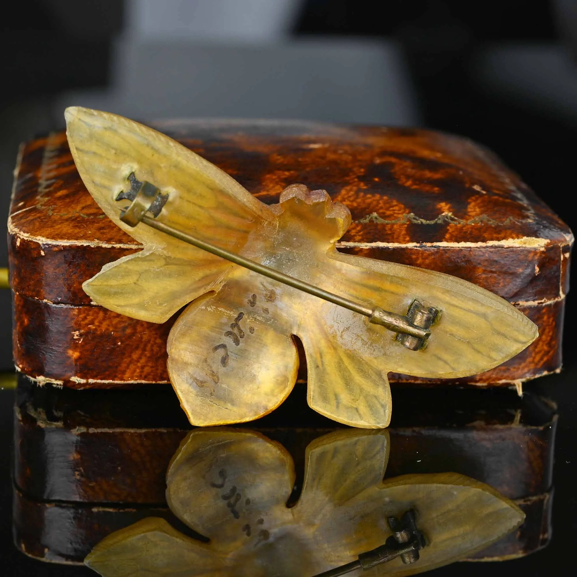 French Art Nouveau Carved Horn Moth Brooch